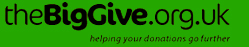 the Big Give Logo